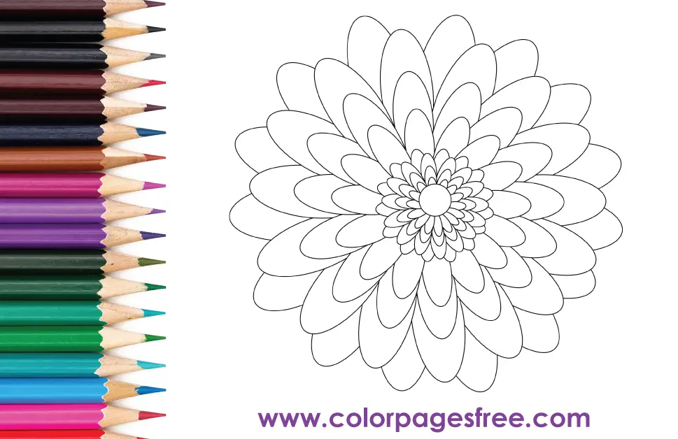 Flower Coloring Page 68